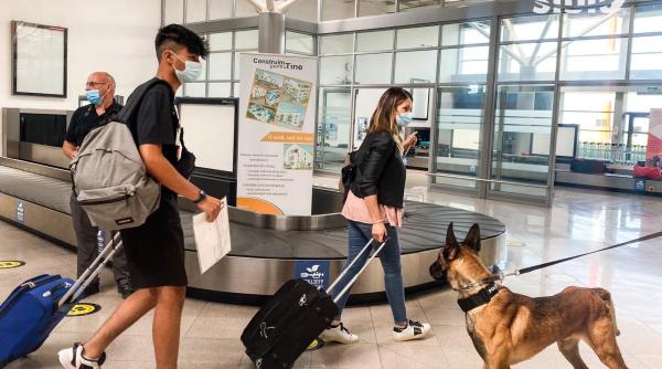 primul pasager depistat cu coronavirus de catre cainii politisti de pe aeroportul din sibiu