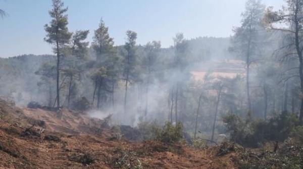 un avion pentru stingerea incendiilor s a prabusit in grecia