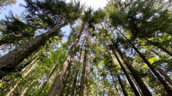 noi informatii despre vreme cum va fi in urmatoarele saptamani la munte in dobrogea oltenia maramures crisana