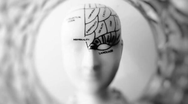 nutrientii de care are nevoie creierul pentru o buna functionare