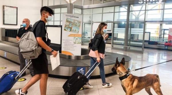 el este blue unul dintre cainii politisti dresati sa detecteze mirosul de covid