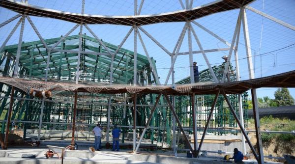 costel fotea cea mai moderna sera de plante exotice din galati prinde contur