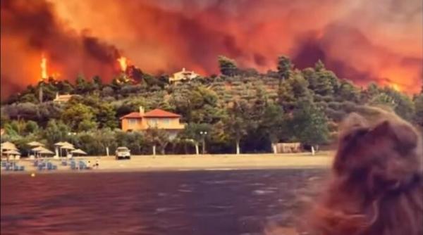 disperare si revolta in evia incendiile act criminal ii imploram sa vina si nu vine nimeni video