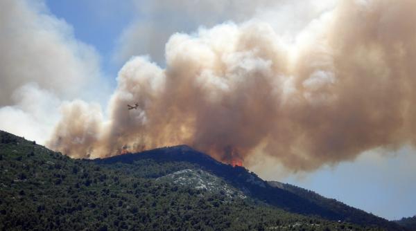 incendiile de vegetatie din algeria au ucis peste 40 de persoane