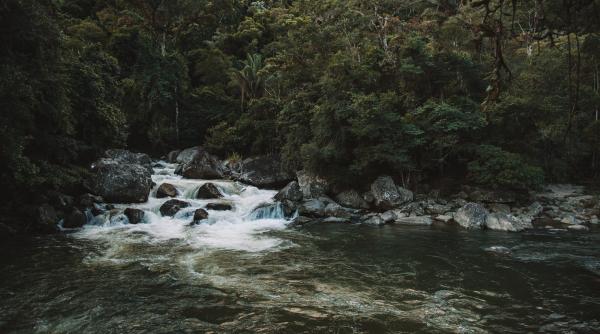 cod portocaliu de viituri pe rauri din judetul prahova