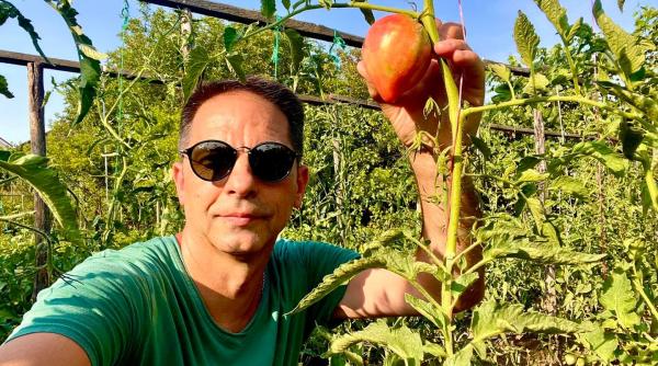 dan negru  cand ma las de televiziune  ma apuc de rosii  ponturi pentru a cumpara tomate de calitate