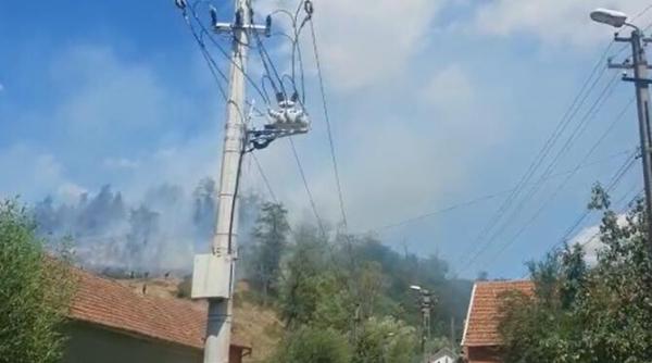 incendiu de vegetatie la resita arde padurea de la marginea orasului video