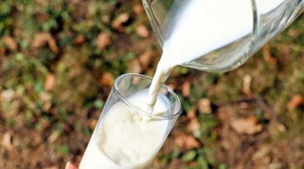 un start up produce lactate fara vaci