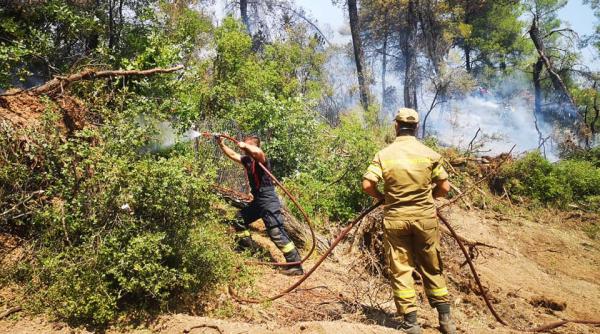 pompierii romani implicati in stingerea incendiilor din grecia inaintati in grad video