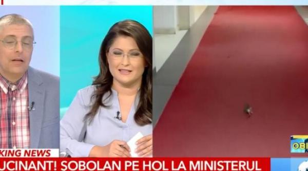 sobolan fuga in ministerul economiei valcu zamfir