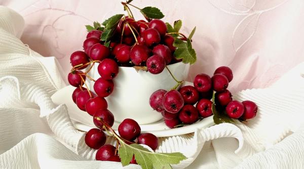 ceaiul care alunga depresia si anxietatea este recomandat si in tulburarile cardiace sau insomnii