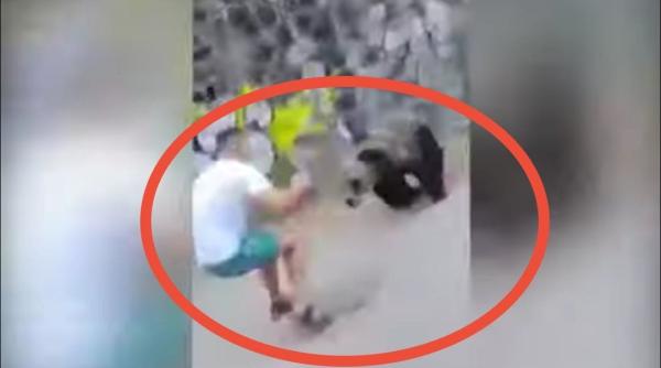 turist atacat de urs animalul statea linistit intins pe strada dar barbatul a insistat sa il fotografieze video