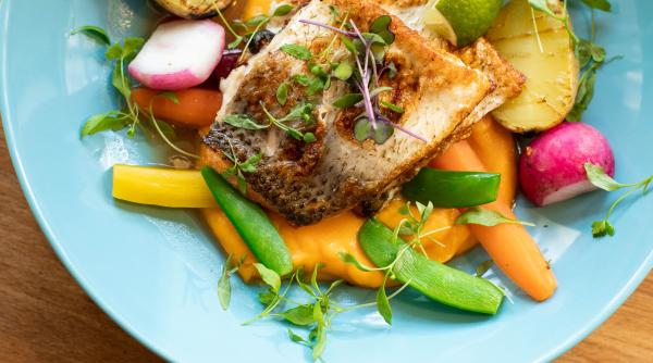 dr maria nitescu semnal de alarma cu privire la consumul de peste si fructe de mare