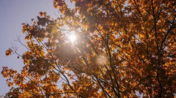 anm informare pentru toata tara atentie daca pleci in concediu vreme instabila