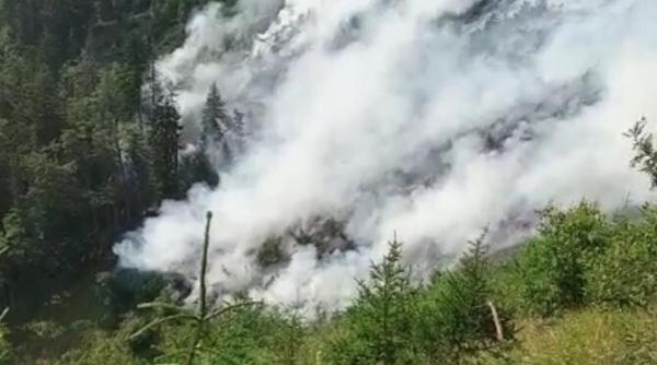 arde padurea din muntii capatanii  patru hectare au fost deja afectate  pompierii intervin cu lopetile