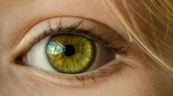 horoscop berbec taur gemeni rac leu fecioara septembrie cea mai importanta luna pentru o zodie