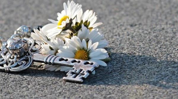 a fost creat asfaltul cu parfum floral in polonia