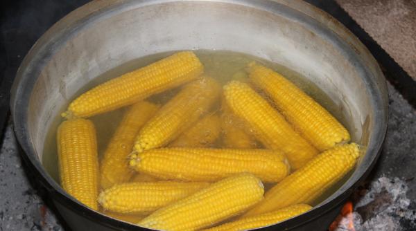 porumb fiert cate calorii are atractia verii