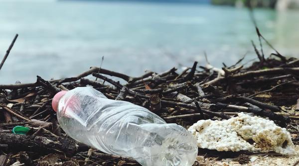 guvernul  decizie pentru reducerea cantitatii de deseuri din plastic