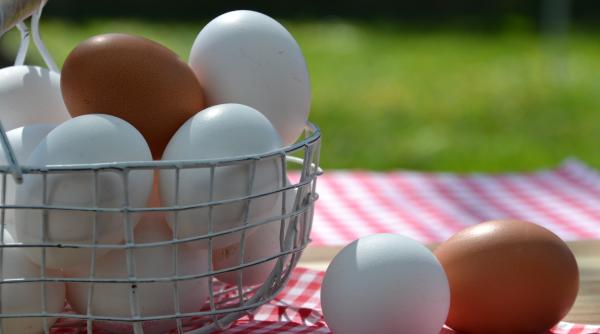 care este diferenta dintre ouale albe si cele maronii legatura cu lobul urechii gainilor tu stiai