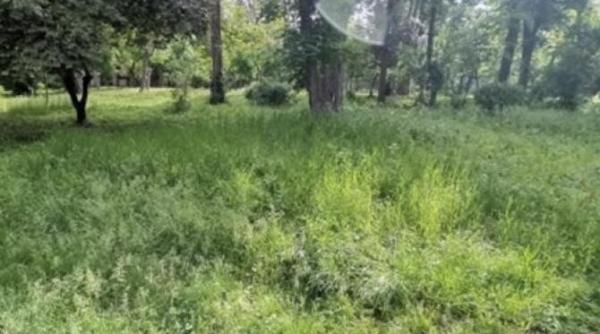 nicusor dan s a pus sef la parcuri in doi ani vor arata mult mai bine