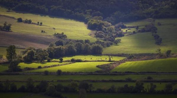 dor de viscri   primul album fotografic dedicat celui mai indragit sat din romania