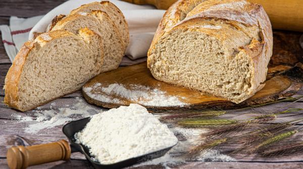 scumpire majora a pretului la paine