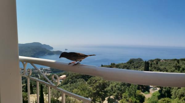 locul magic descoperit de buzgudan intr un sat de munte din creta identic cu locul minunat din lakones sat de munte din corfu adevarata esenta a greciei foto