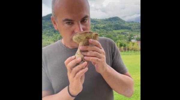 video rares bogdan tocanita de galbiori si ciorbita de hribi val de mesaje lasati politica se poate sa o luati razna de la ele