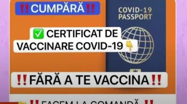 certificate de vaccinare false vandute la 100 de euro pe telegram un jurnalist a reusit sa l obtina e 1 1 e 100prc original creat chiar de catre medicii