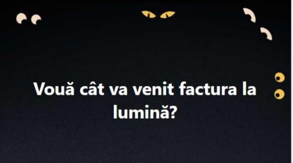 viral ambasada suediei intrebare de ziua limbii romane voua cat va venit factura la lumina