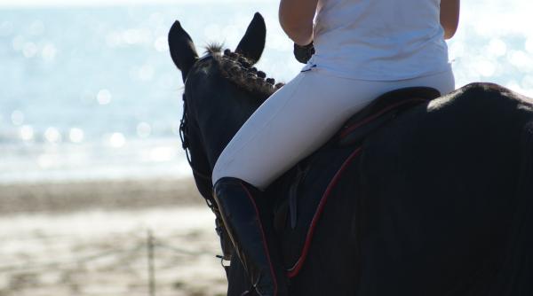 doi barbati s au plimbat calare pe cai printre turisti la mamaia nord foto