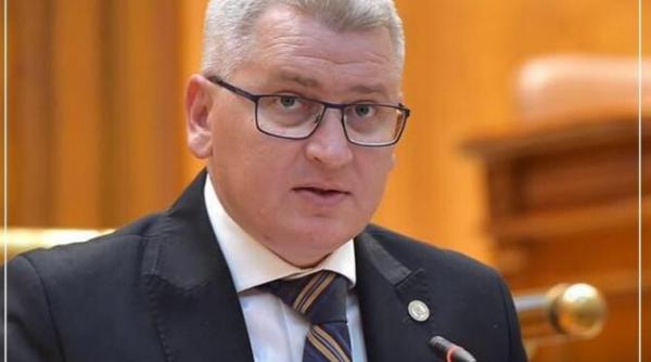 florin roman candideaza la functia de vicepresedinte al camerei deputatilor este sustinut de florin citu