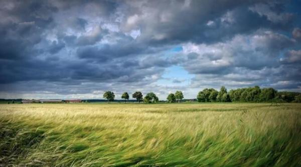 anm cod galben de vant puternic in mai multe judete prognoza speciala pentru bucuresti