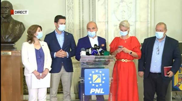 bpn al pnl rezolutie pentru sustinere lui florin citu rares bogdan