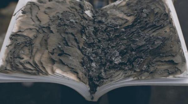 mii de carti printre care tintin si ast rix considerate discriminatoare distruse in canada