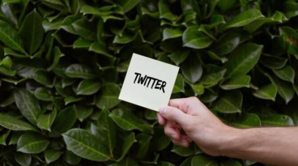 mesajul controversat al lui adil ray la adresa emmei raducanu daca joci in finala esti britanica daca esti chelnerita esti romanca