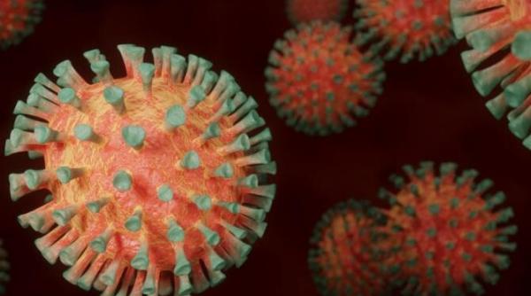 bilant covid 19 situatia infectarilor si deceselor din ultimele 24 de ore 13 septembrie 2021