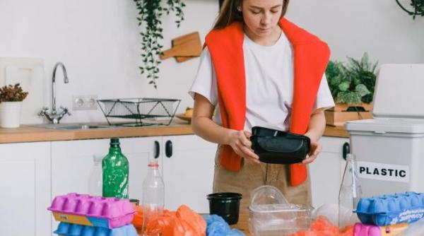 video scoala de gospodine din reykjavik ce invata nordicele despre gospodarie