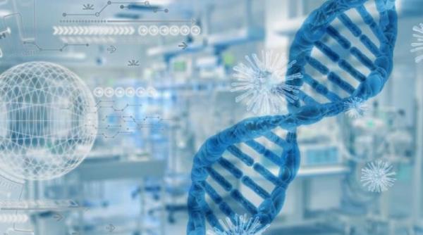 bilant covid 19 situatia infectarilor si deceselor din ultimele 24 de ore 15 septembrie 2021