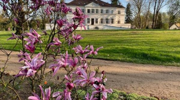 casa ceaiului de la savarsin e aproape restaurata familia regala materialele originale care au putut fi recuperate vor fi refolosite foto