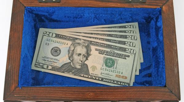 doi copii au devenit milionari peste noapte sume uriase in conturi in loc de bani pentru uniforme