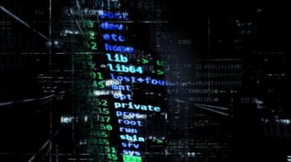 alegerile preliminare blocate din cauza sistemului informatic opozitia il acuza pe orban