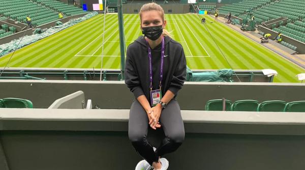 o noua specie de insecta descoperita in constanta denumita dupa simona halep