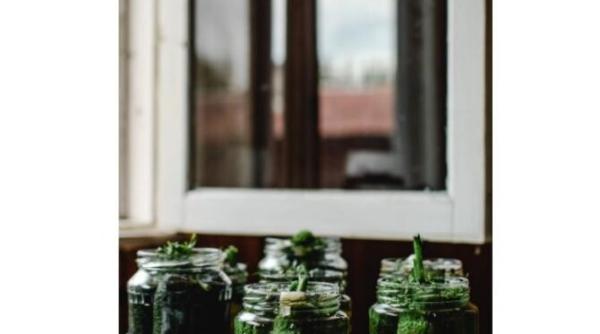 uite cat de usor e sa pui castraveti la murat in asa fel incat sa se pastreze bine peste iarna