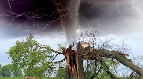 video o tornada a facut prapad in italia sapte avioane au fost distruse in 30 de secunde totul a zburat