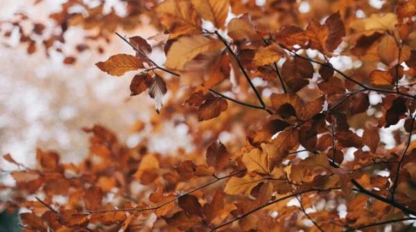 vremea se raceste in toata tara in urmatoarele zile la munte e posibil chiar sa ninga