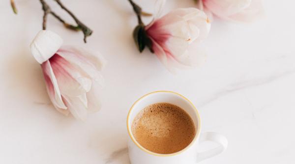 cum faci cafea cu presa franceza reteta simpla pentru o ceasca plina de aroma