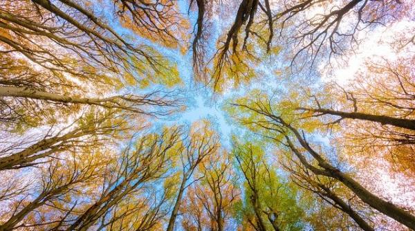 vremea in weekend prognoza meteo revin temperaturile ridicate dupa frig si ninsoare maxime de pana la 29 de grade celsius