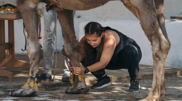 tensiune maxima la asia express parea prea frumos sa ne ofere doar o tarta si un pahar de lapte